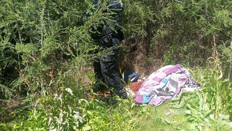 Desmantelan campamento delincuencial en límites con Aguascalientes