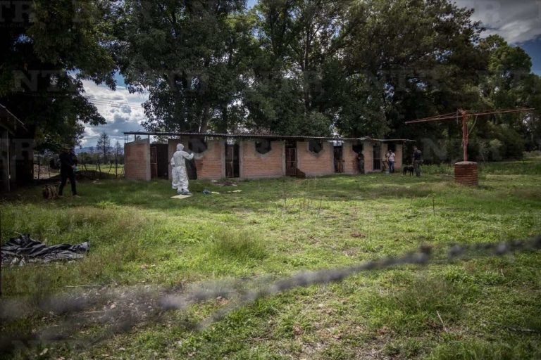 Tras hallazgo de 4 osamentas, aseguran rancho