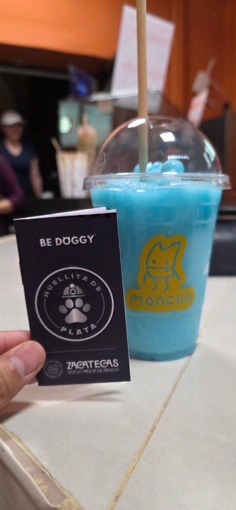 Lanzan el Pasaporte Pet Friendly en la capital