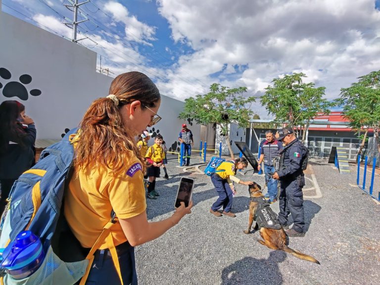 Visitan scouts a perros del centro animal en Guadalupe