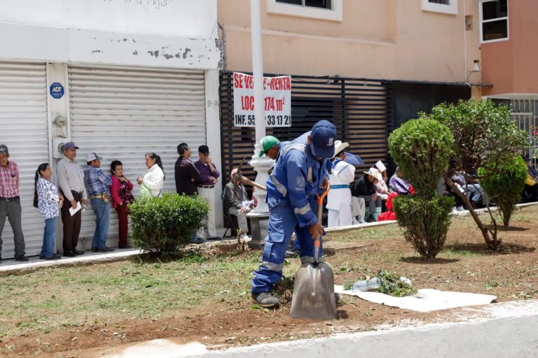 Atienden áreas verdes del Jardín Hidalgo
