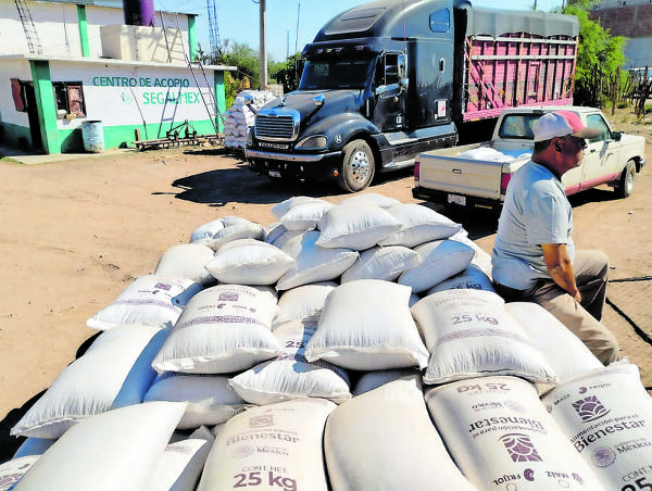 Condicionan acopio con compra de semilla