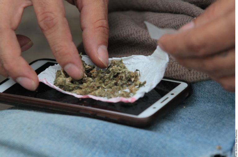 CIJ advierte impacto negativo de Cofepris sobre cannabis