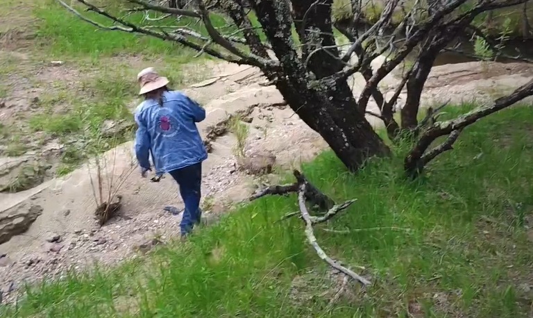 Buscadoras hallan osamenta en sierra de Jerez