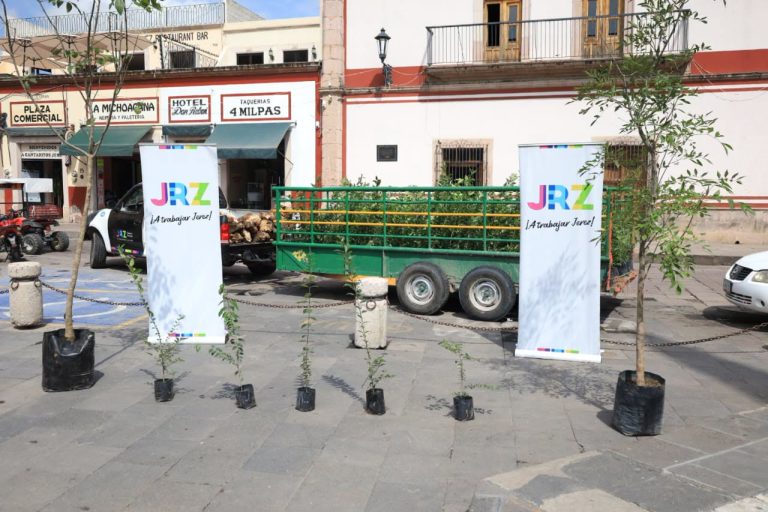 Regala gobierno municipal árboles trueno