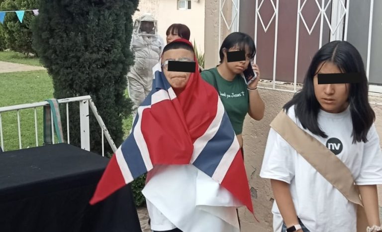 Atiende PC reporte de ataque de abejas