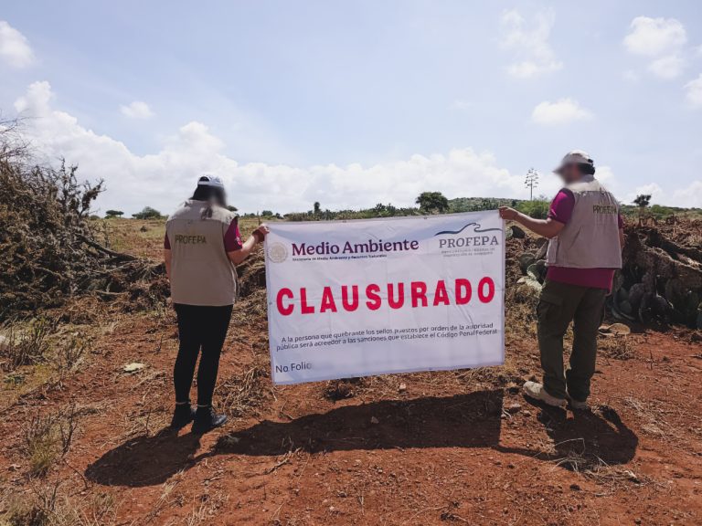 Afectan 5.1 hectáreas de terrenos forestales en Trancoso