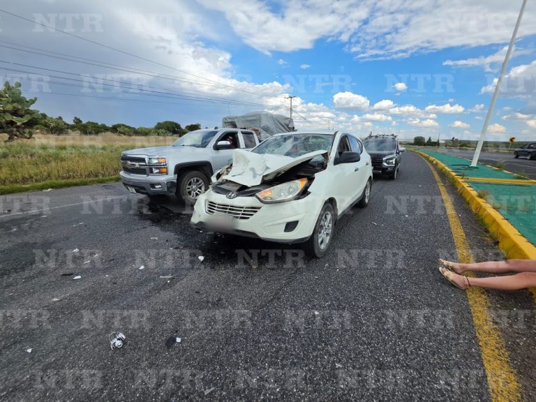 Choca contra caballo; muere equino tras el impacto