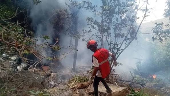 Se estrella helicóptero con 7 turistas a bordo en Kenia