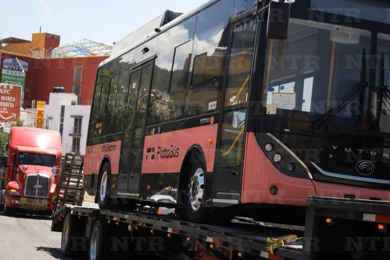 Llegan las primeras unidades del Platabús a la capital