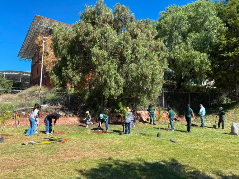 Preparan reforestación de La Bufa, El Visitador y La Escondida