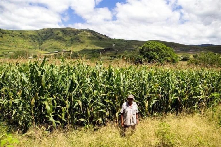 Valida Corte derechos de trabajadores agrícolas