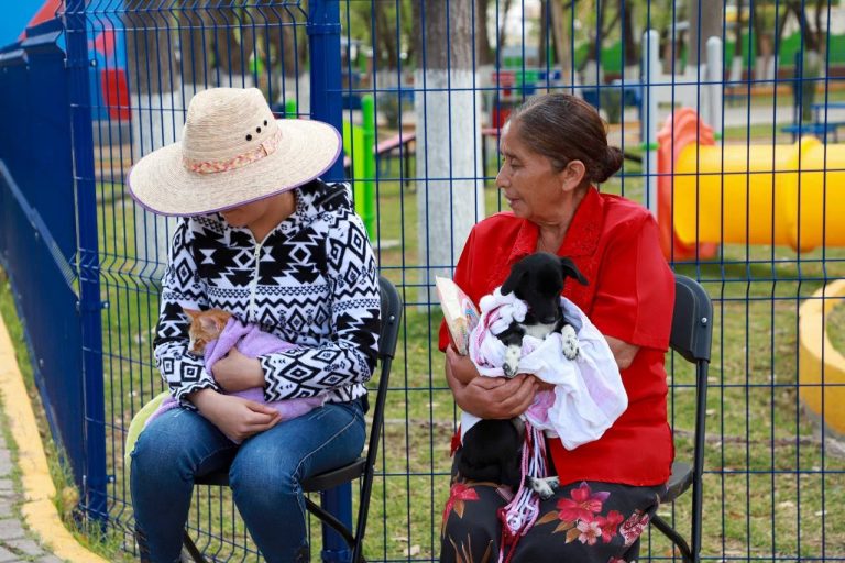 Llegan esterilizaciones a Villa Hidalgo, Pinos y Ojocaliente
