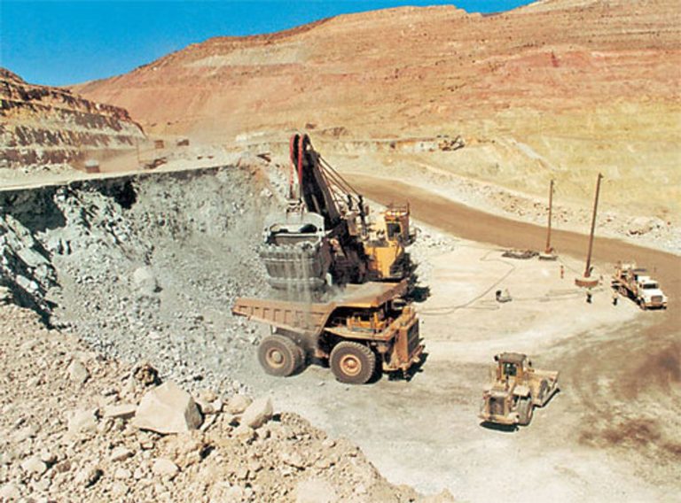 Armadora y refinería, necesarias para economía