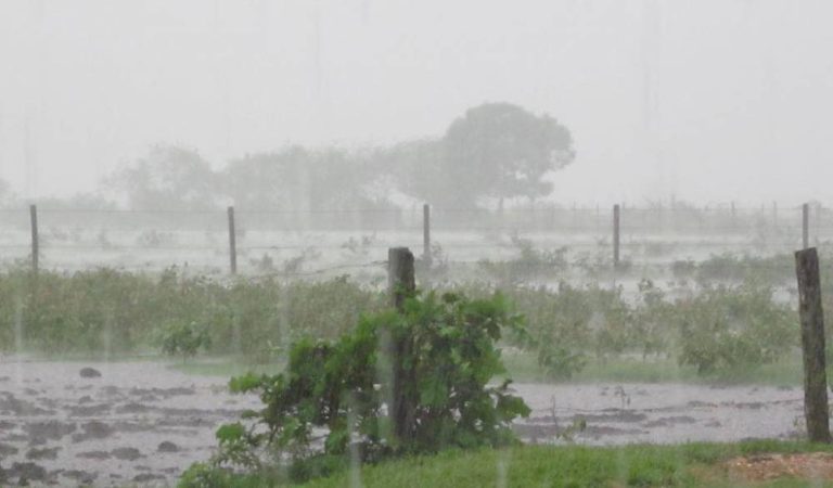 Descarta Secampo alarma por sequía