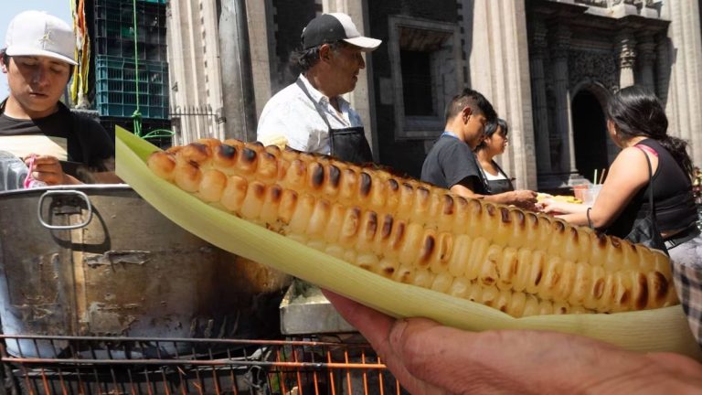 ¿Por qué están prohibidos los elotes en las fiestas patrias de Cuernavaca?