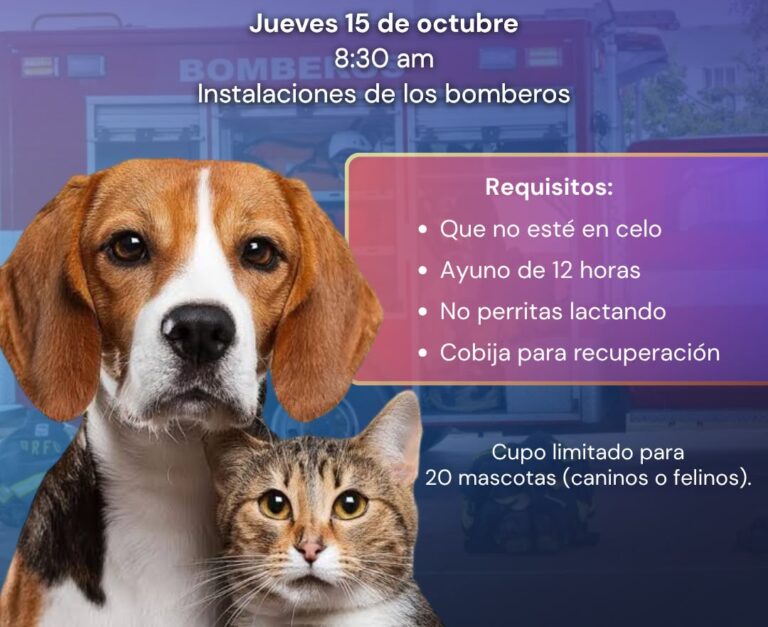 Anuncian campaña de esterilización en Fresnillo