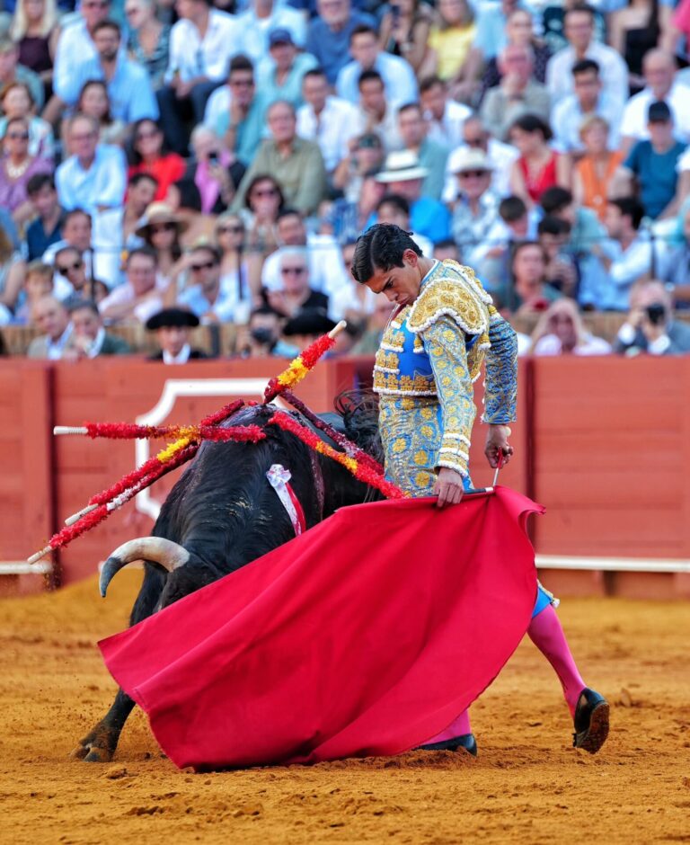 Ignacio Garibay vuelve a Valencia, escenario de su primer gran triunfo en España