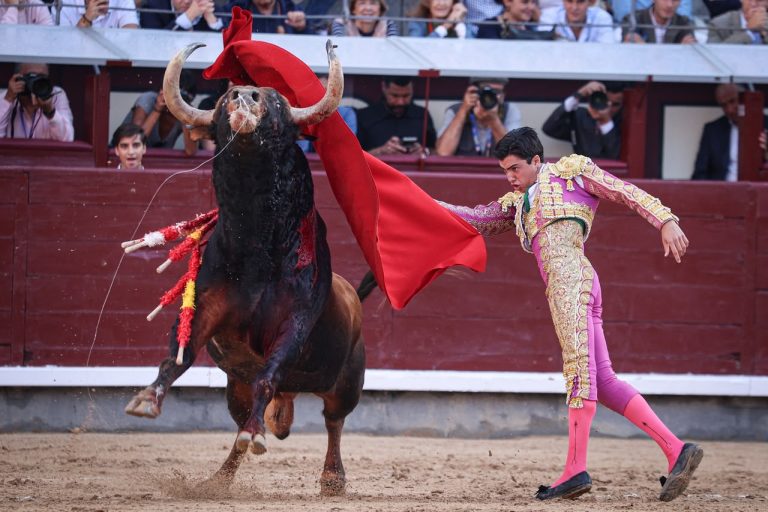 Marco Pérez confirma alternativa en una exigente tarde en Las Ventas