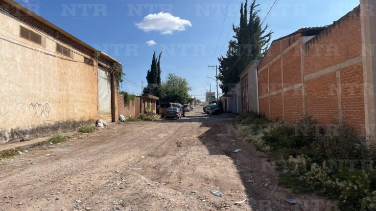 Piden rehabilitar calles de la Ejidal 4