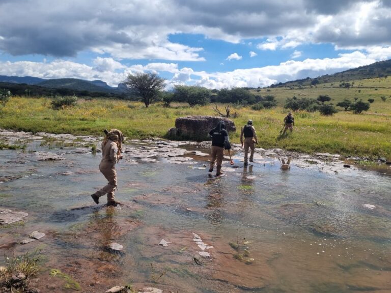 Realizan búsqueda forense en Monte Escobedo; pegan cédulas en Trancoso